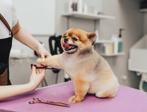 Grooming