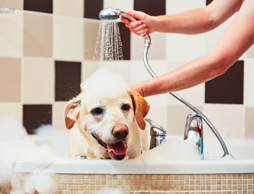 Bathing