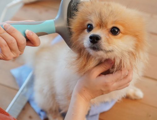 Brushing